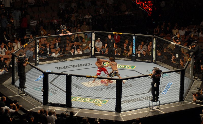 Participant Injury in MMA Events: The Role of MMA Event Insurance in Protection and Support